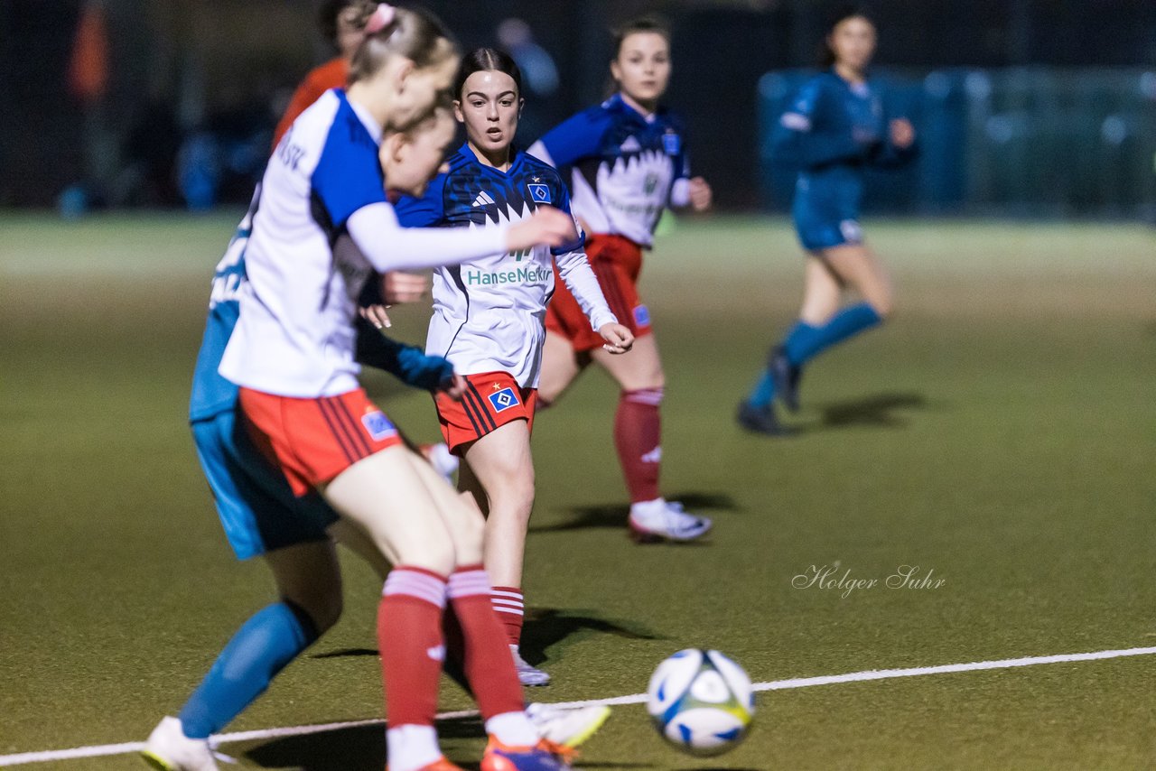 Bild 161 - F SC Alstertal-Langenhorn - Hamburger SV 3 : Ergebnis: 2:2